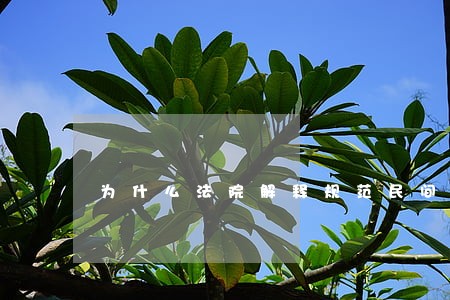 为什么法院解释规范民间借贷 为什么法院解释规范民间借贷