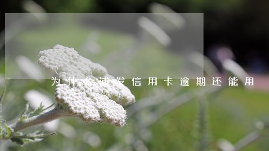 为什么浦发信用卡逾期还能用 为什么浦发信用卡逾期还能用