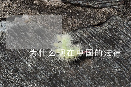 为什么现在中国的法律 为什么现在中国的法律