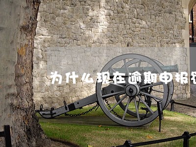 为什么现在逾期申报罚款2000 为什么现在逾期申报罚款2000