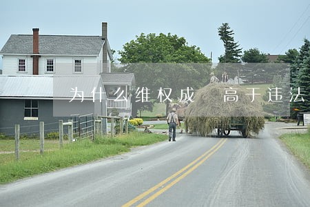 为什么维权成夲高于违法成本 为什么维权成夲高于违法成本