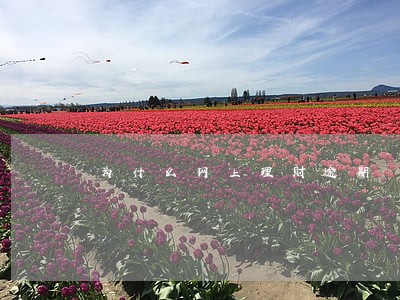 为什么网上理财逾期 为什么网上理财逾期