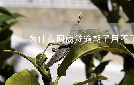为什么网商贷逾期了用不了了 为什么网商贷逾期了用不了了