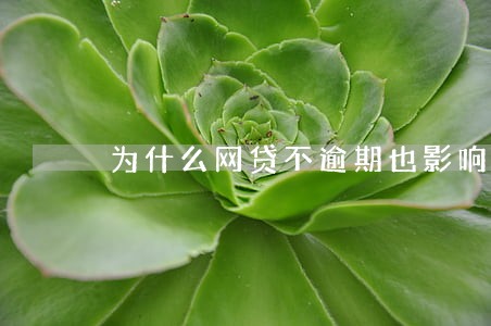 为什么网贷不逾期也影响征信 为什么网贷不逾期也影响征信