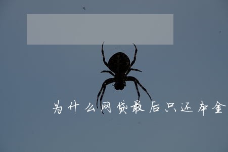 为什么网贷最后只还本金 为什么网贷最后只还本金