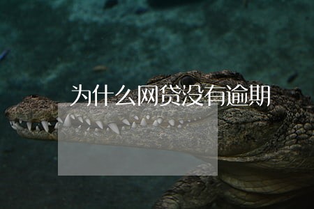 为什么网贷没有逾期 为什么网贷没有逾期