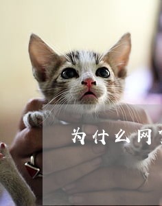 为什么网贷老是被拒没有逾期啊 为什么网贷老是被拒没有逾期啊