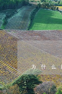 为什么网贷逾期了不打电话了 为什么网贷逾期了不打电话了