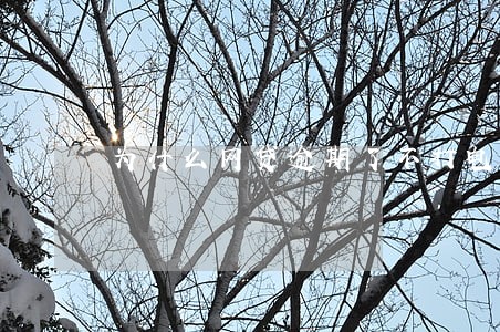 为什么网贷逾期了不打电话给我 为什么网贷逾期了不打电话给我