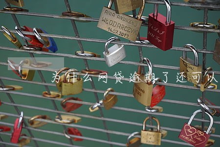 为什么网贷逾期了还可以借到钱 为什么网贷逾期了还可以借到钱