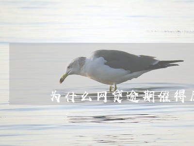 为什么网贷逾期催得厉害 为什么网贷逾期催得厉害