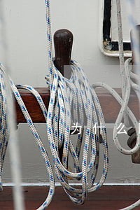 为什么网贷逾期催款电话少了 为什么网贷逾期催款电话少了