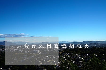 为什么网贷逾期几天