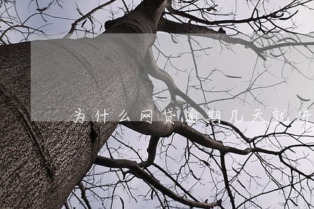 为什么网贷逾期几天就拼命催