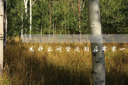 为什么网贷逾期后需要一次性结清 为什么网贷逾期后需要一次性结清