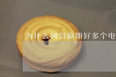为什么网贷逾期好多个电话