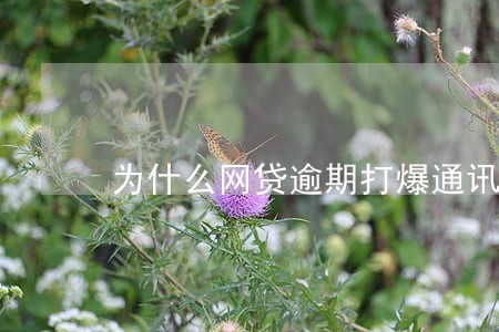 为什么网贷逾期打爆通讯录 为什么网贷逾期打爆通讯录