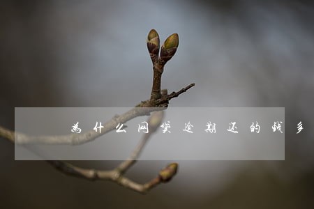为什么网贷逾期还的钱多 为什么网贷逾期还的钱多