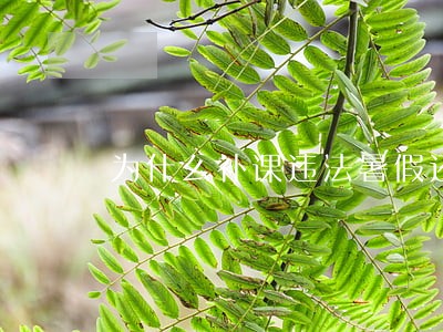为什么补课违法暑假还要补