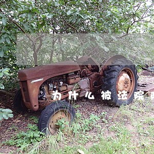 为什么被法院限制做不了高铁 为什么被法院限制做不了高铁