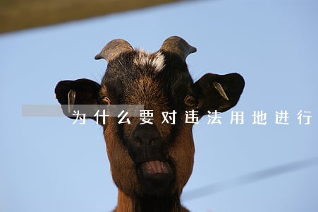 为什么要对违法用地进行整改 为什么要对违法用地进行整改