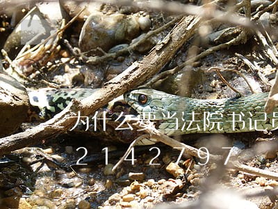 为什么要当法院书记员面试/2023022142797 为什么要当法院书记员面试/2023022142797