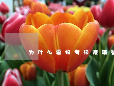 为什么要报考法院辅警 为什么要报考法院辅警