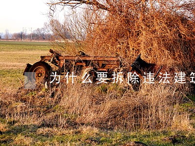 为什么要拆除违法建筑 为什么要拆除违法建筑