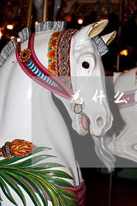 为什么要注销律师证 为什么要注销律师证
