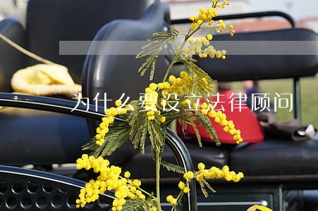 为什么要设立法律顾问 为什么要设立法律顾问