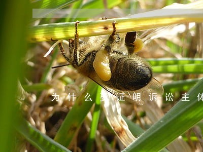 为什么要证明诉讼主体资格 为什么要证明诉讼主体资格