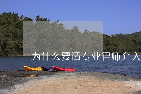 为什么要请专业律师介入 为什么要请专业律师介入