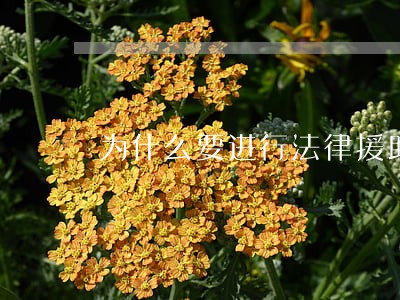 为什么要进行法律援助呢 为什么要进行法律援助呢