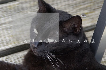 为什么设立诉讼法专业 为什么设立诉讼法专业