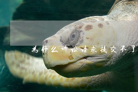 为什么诉讼请求提交不了 为什么诉讼请求提交不了
