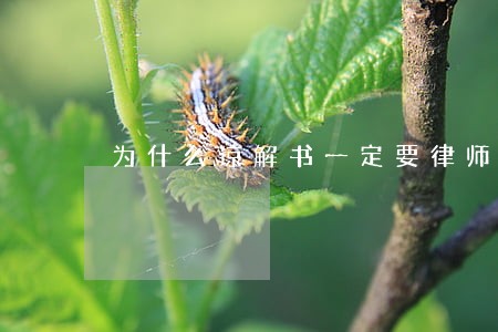 为什么谅解书一定要律师去谈 为什么谅解书一定要律师去谈
