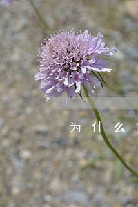 为什么贷款逾期没有上征信 为什么贷款逾期没有上征信