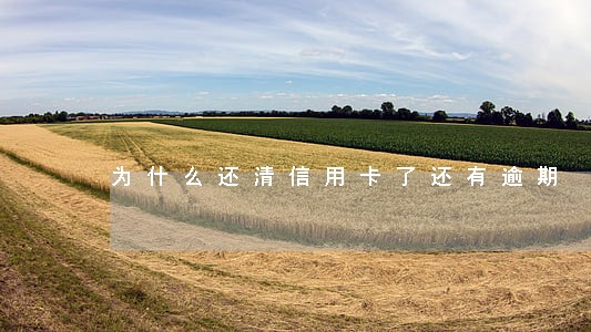 为什么还清信用卡了还有逾期 为什么还清信用卡了还有逾期