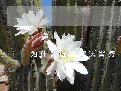为什么选择司法警务 为什么选择司法警务
