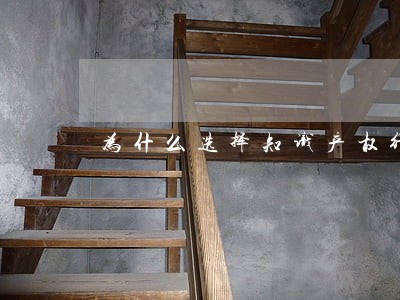 为什么选择知识产权行业