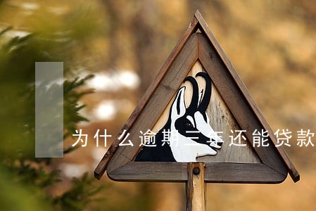 为什么逾期三年还能贷款 为什么逾期三年还能贷款