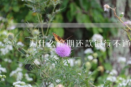 为什么逾期还款银行不通知 为什么逾期还款银行不通知
