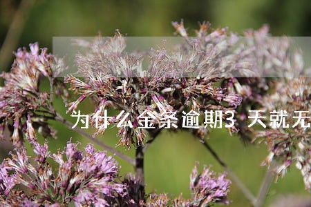 为什么金条逾期3天就无法借款了 为什么金条逾期3天就无法借款了