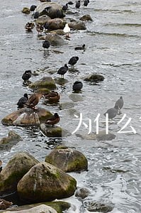 为什么银行一直有逾期 为什么银行一直有逾期