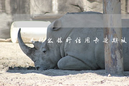 为什么银行信用卡逾期被冻结 为什么银行信用卡逾期被冻结