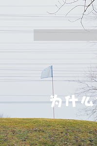 为什么银行信用卡逾期还在发卡 为什么银行信用卡逾期还在发卡