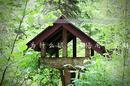 为什么银行对信用卡逾期不起诉