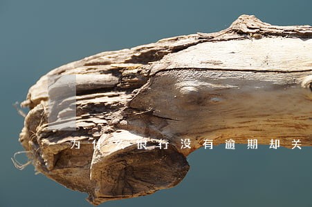 为什么银行没有逾期却关注 为什么银行没有逾期却关注
