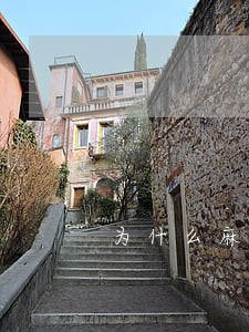 为什么麻豆传媒不违法 为什么麻豆传媒不违法