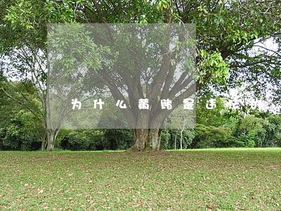 为什么黄赌是违法的 为什么黄赌是违法的
